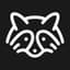 Raccoons